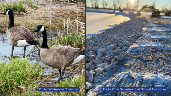 Project Feature: Beach Improvements at Maumee Bay State Park