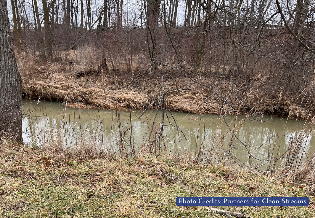 Project Feature: Stream Restoration at Lathrop Park